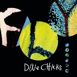 Fly album artwork