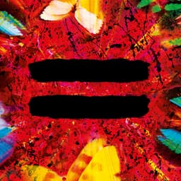 = album artwork