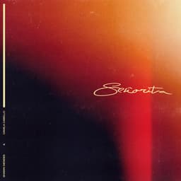 Señorita album artwork